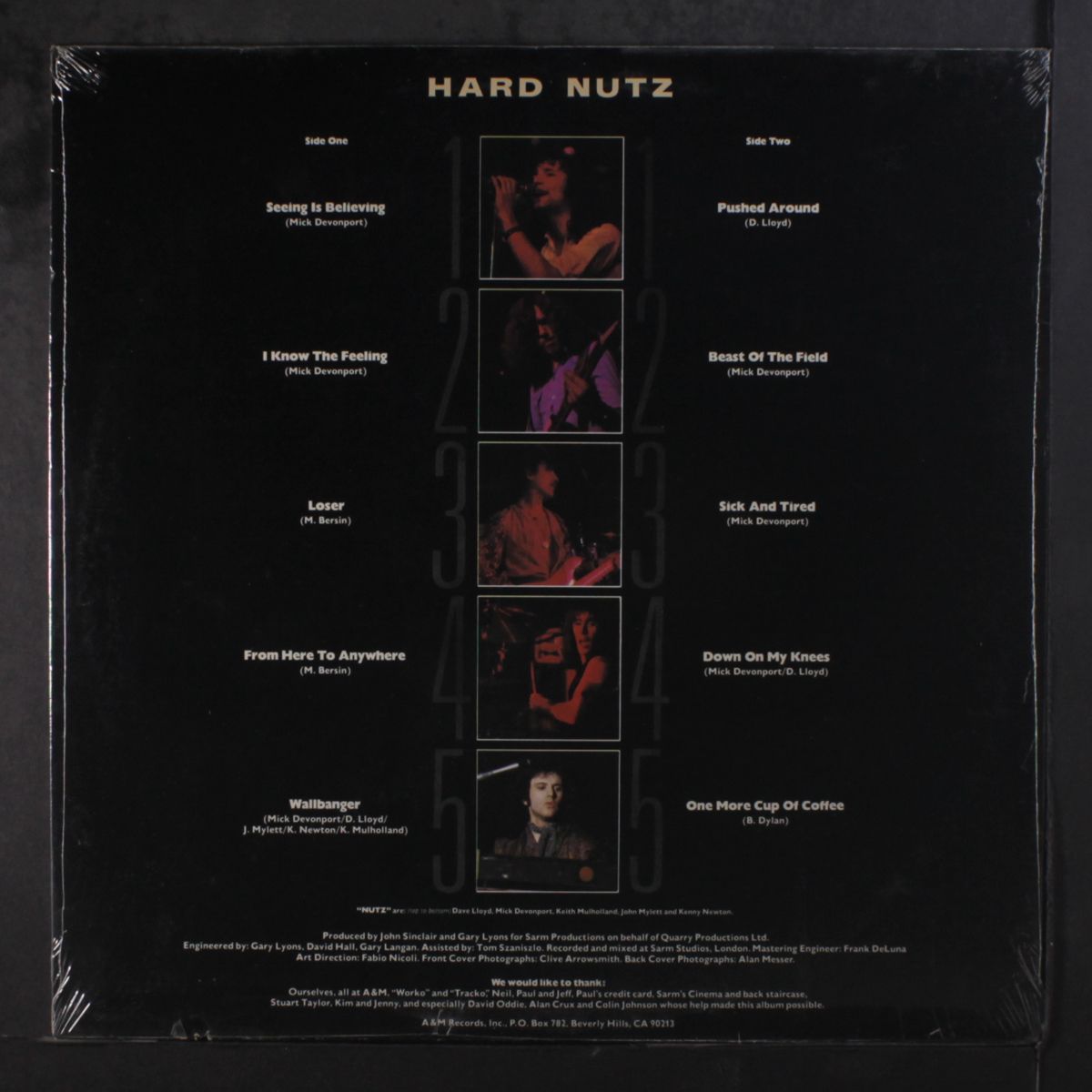 hard nutz by NUTZ