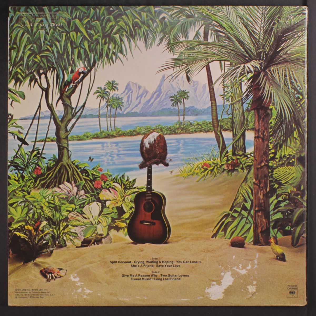 split coconut by DAVE MASON