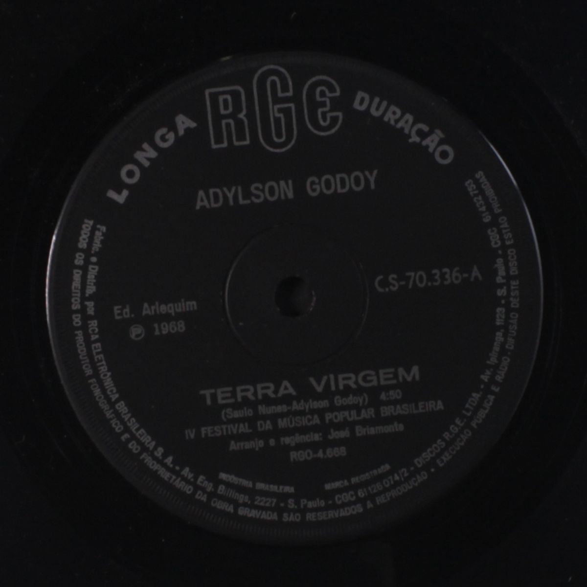terra virgem / o muro by ADYLSON GODOY