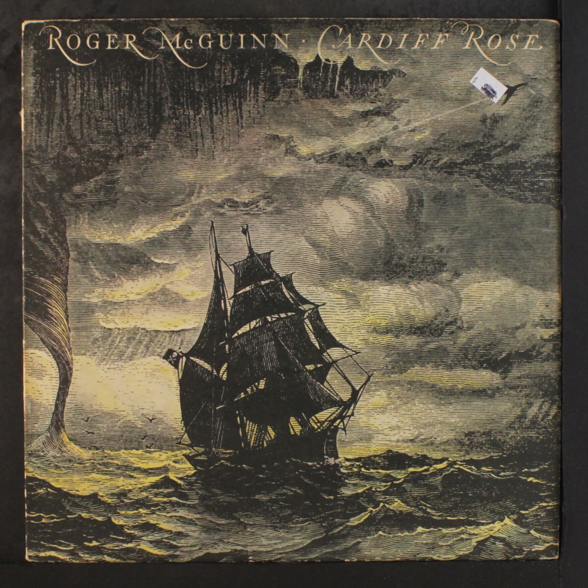 cardiff rose by ROGER MCGUINN