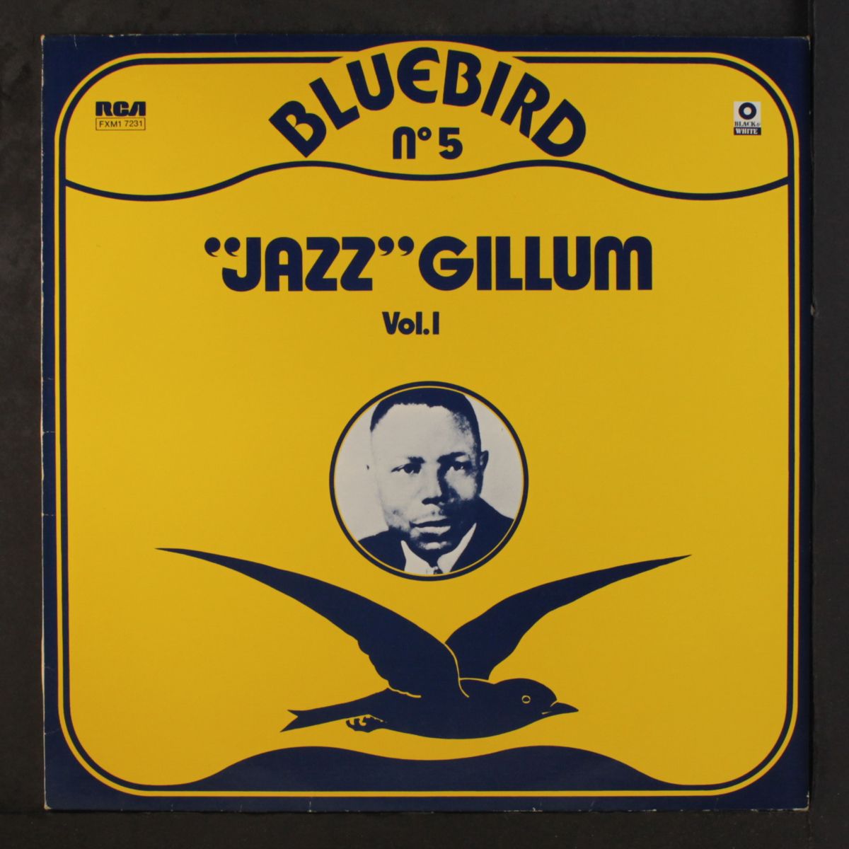 vol. 1 by JAZZ GILLUM