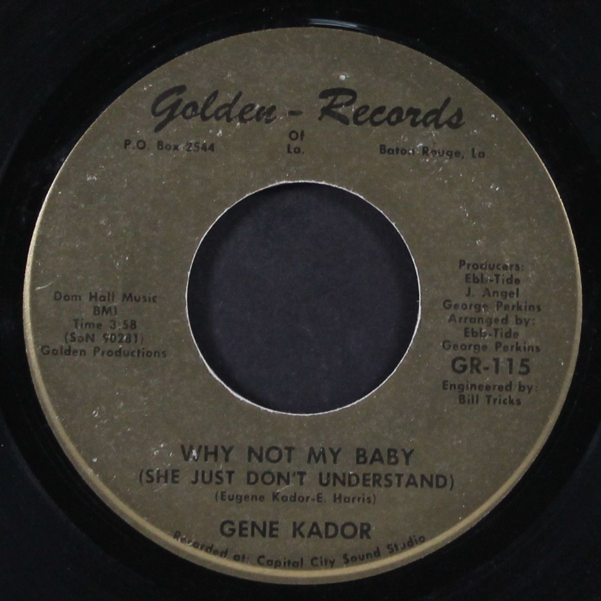 why not my baby / don't be afraid-mary ann by GENE KADOR