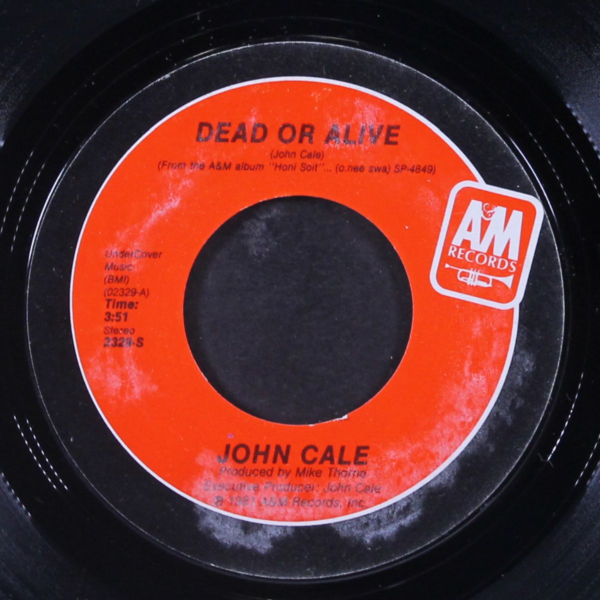 dead or alive / honi soit by JOHN CALE