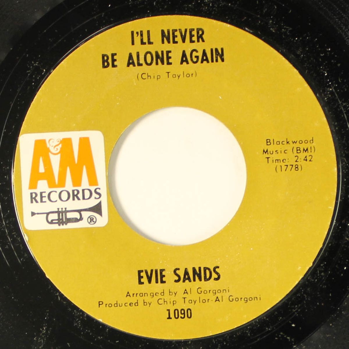 any way that you want me / i'll never be alone again by EVIE SANDS