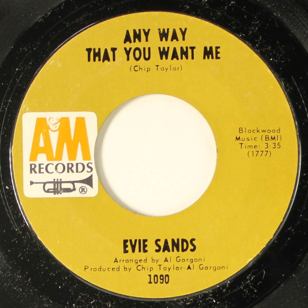 any way that you want me / i'll never be alone again by EVIE SANDS