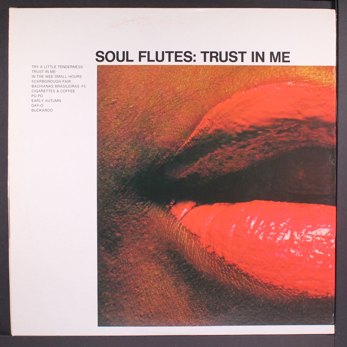 trust in me by SOUL FLUTES