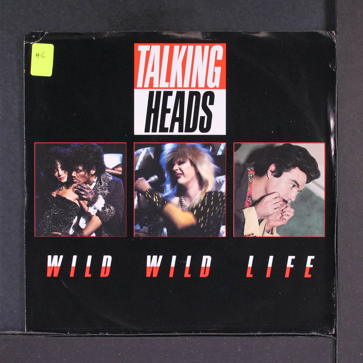 wild wild life by TALKING HEADS