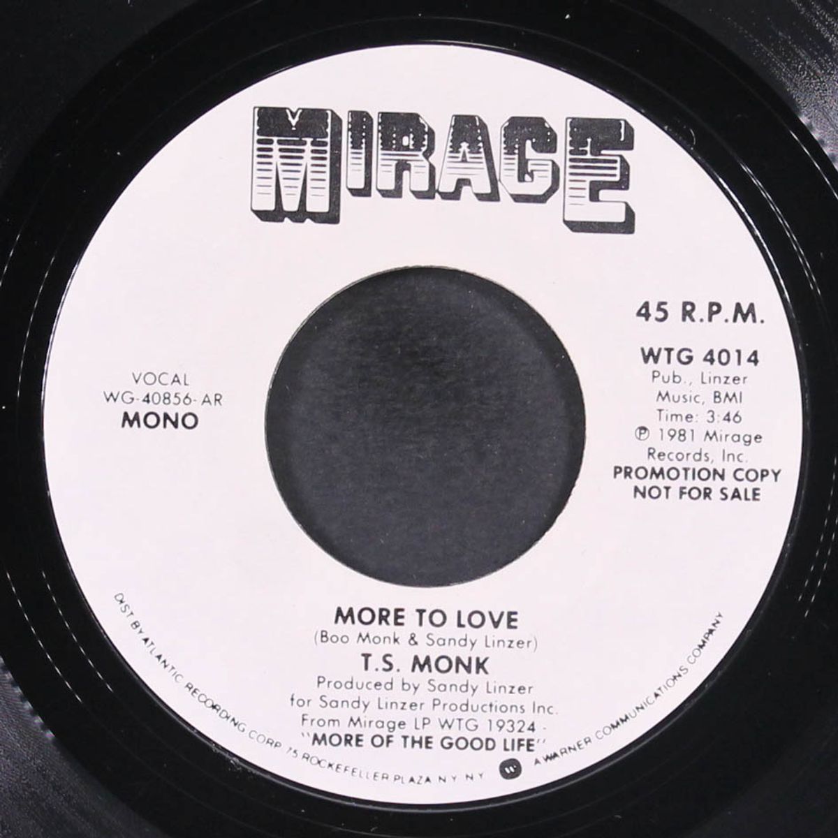 more to love / mono by T.S. MONK