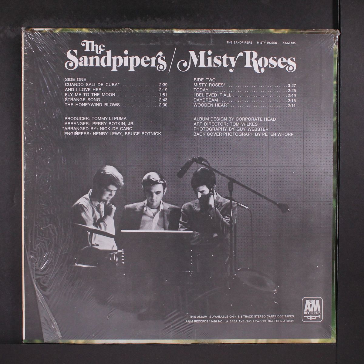 misty roses by SANDPIPERS