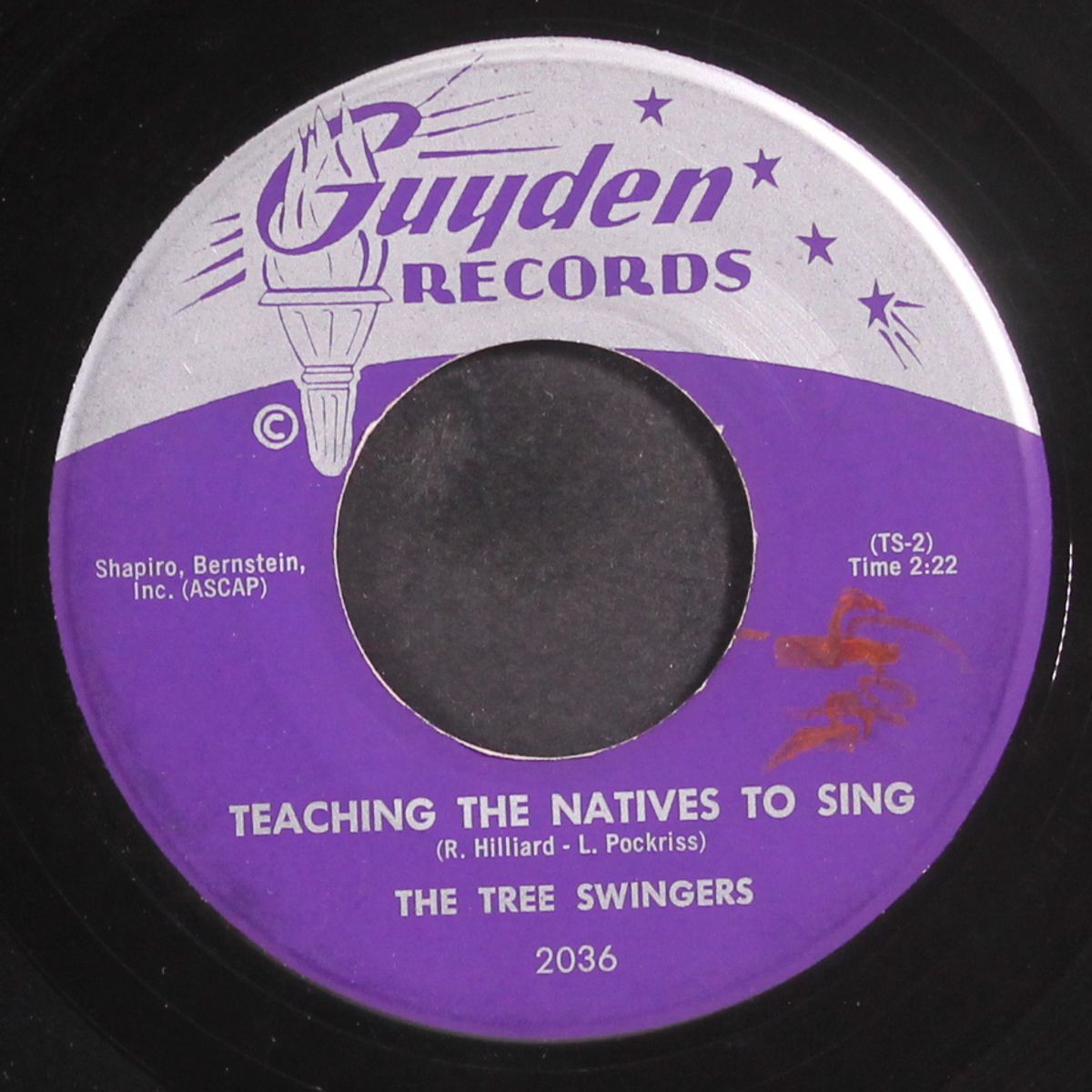 kookie little paradise by TREE SWINGERS