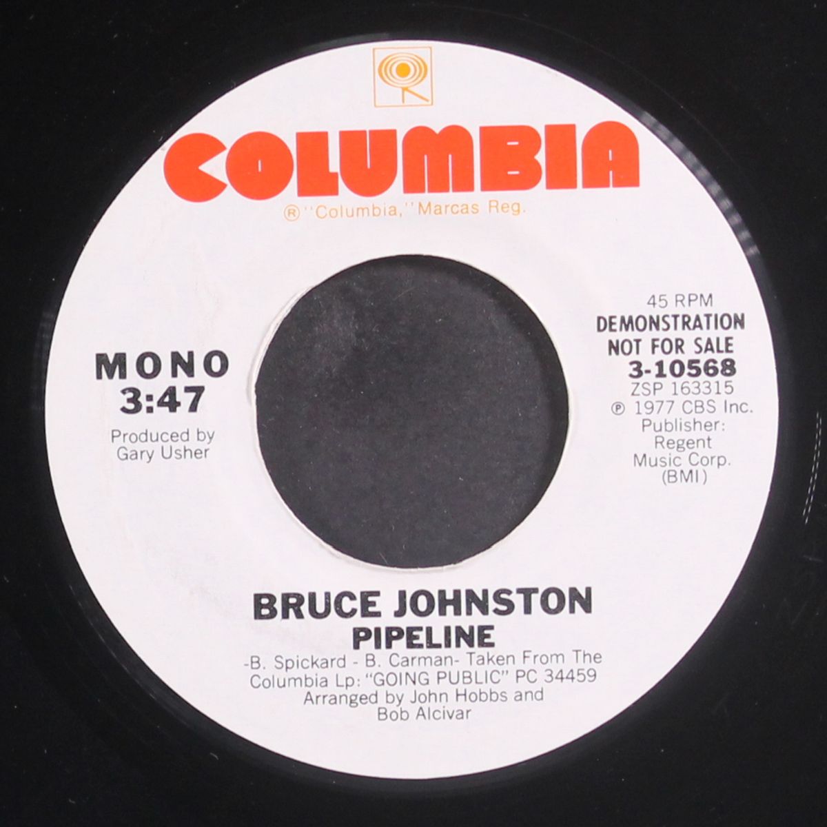 pipeline / mono by BRUCE JOHNSTON