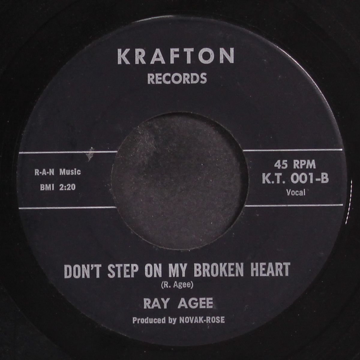 i'm coming home / don't stop on my broken heart by RAY AGEE
