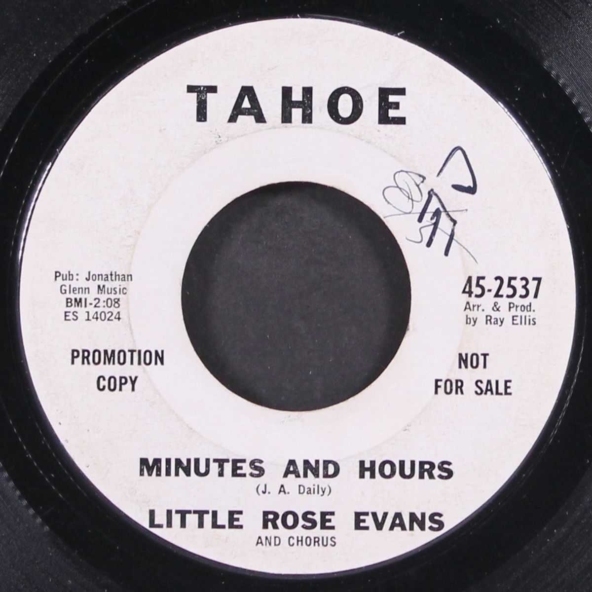 your goose is cooked / minutes and hours by LITTLE ROSE EVANS