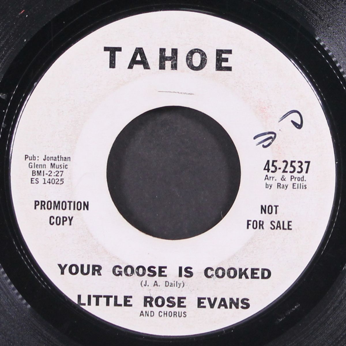 your goose is cooked / minutes and hours by LITTLE ROSE EVANS