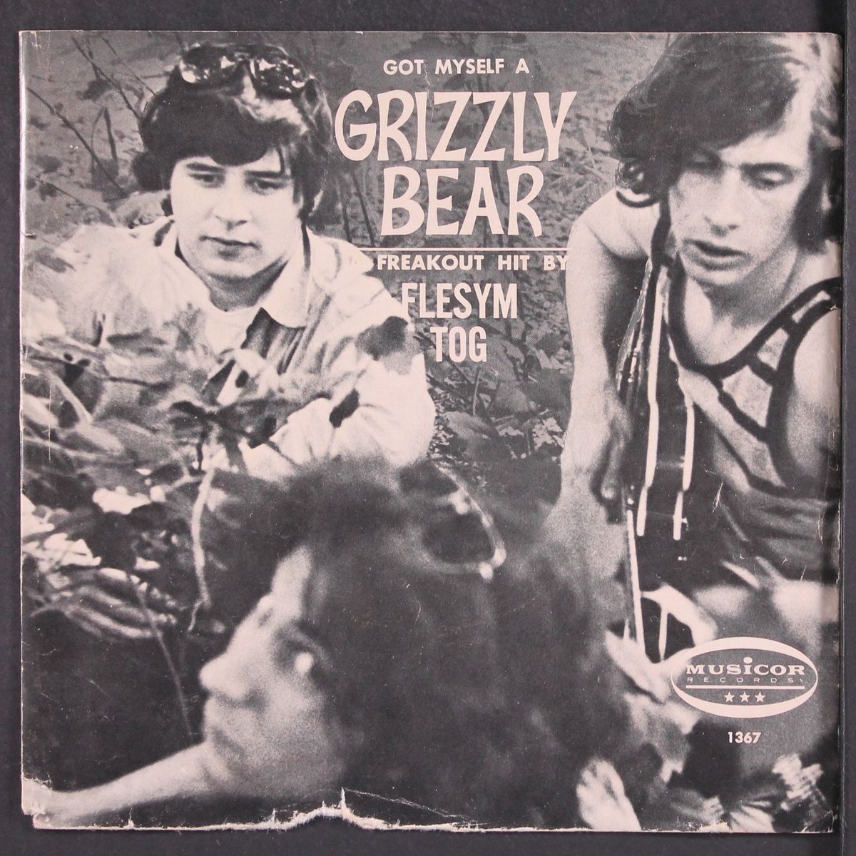 got myself a grizzle bear / raeb ylzzirg a flesym tog by FLESYM TOG