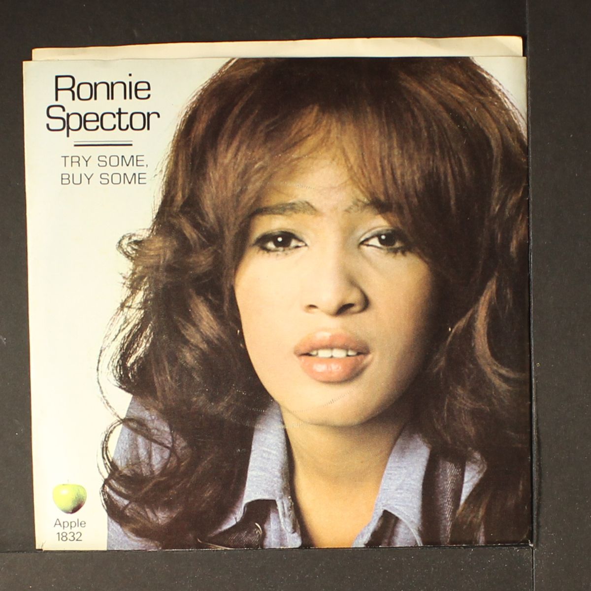 try some, buy some / tandoori chicken by RONNIE SPECTOR