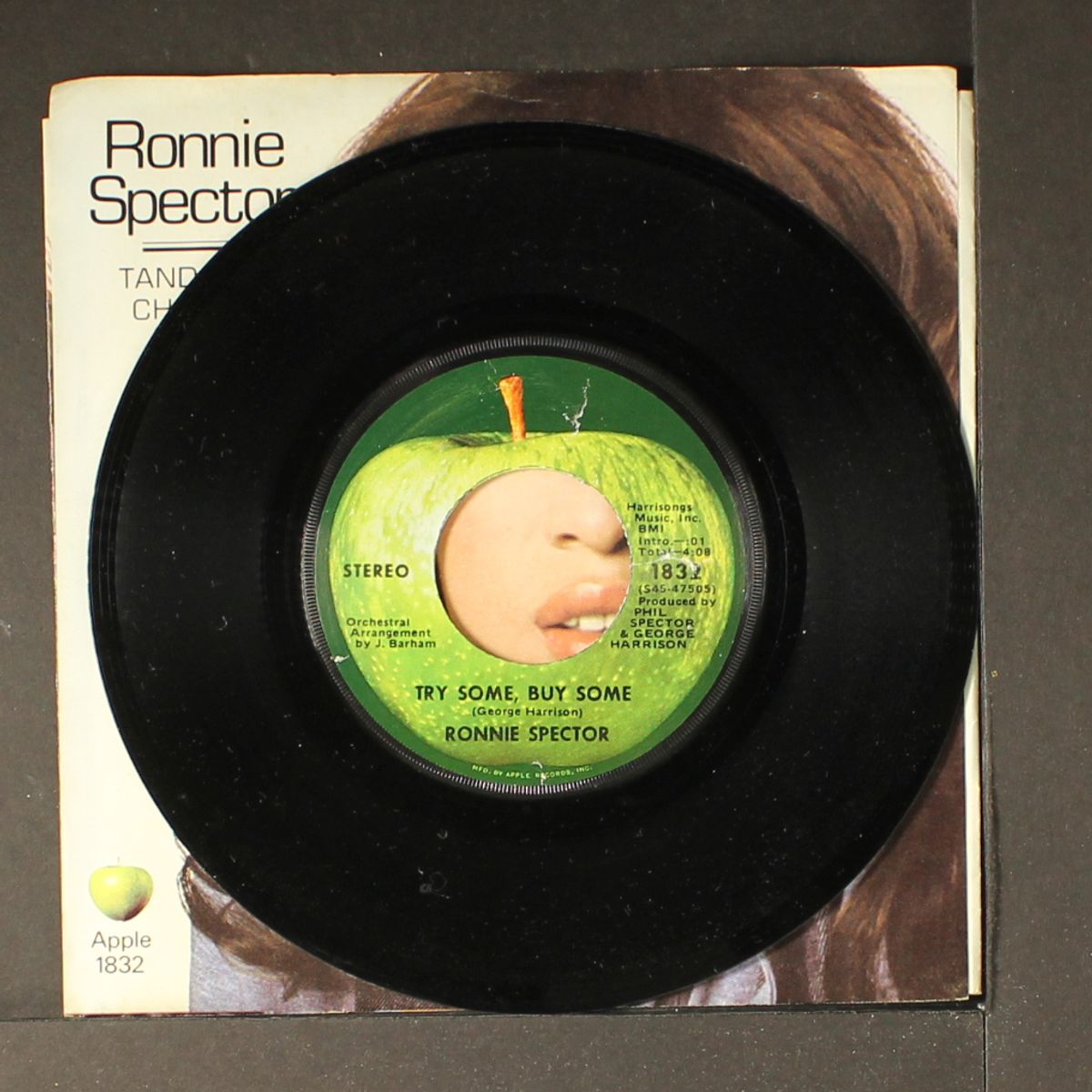 try some, buy some / tandoori chicken by RONNIE SPECTOR