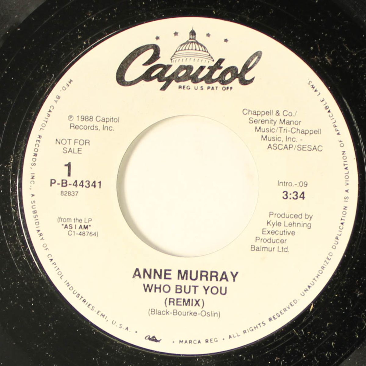 who but you by ANNE MURRAY