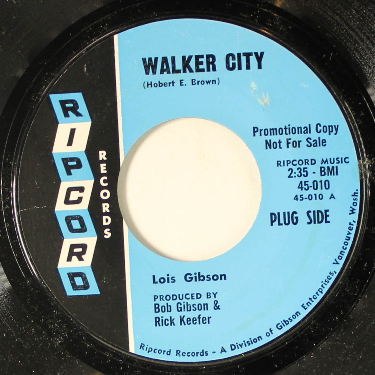 walker city by LOIS GIBSON