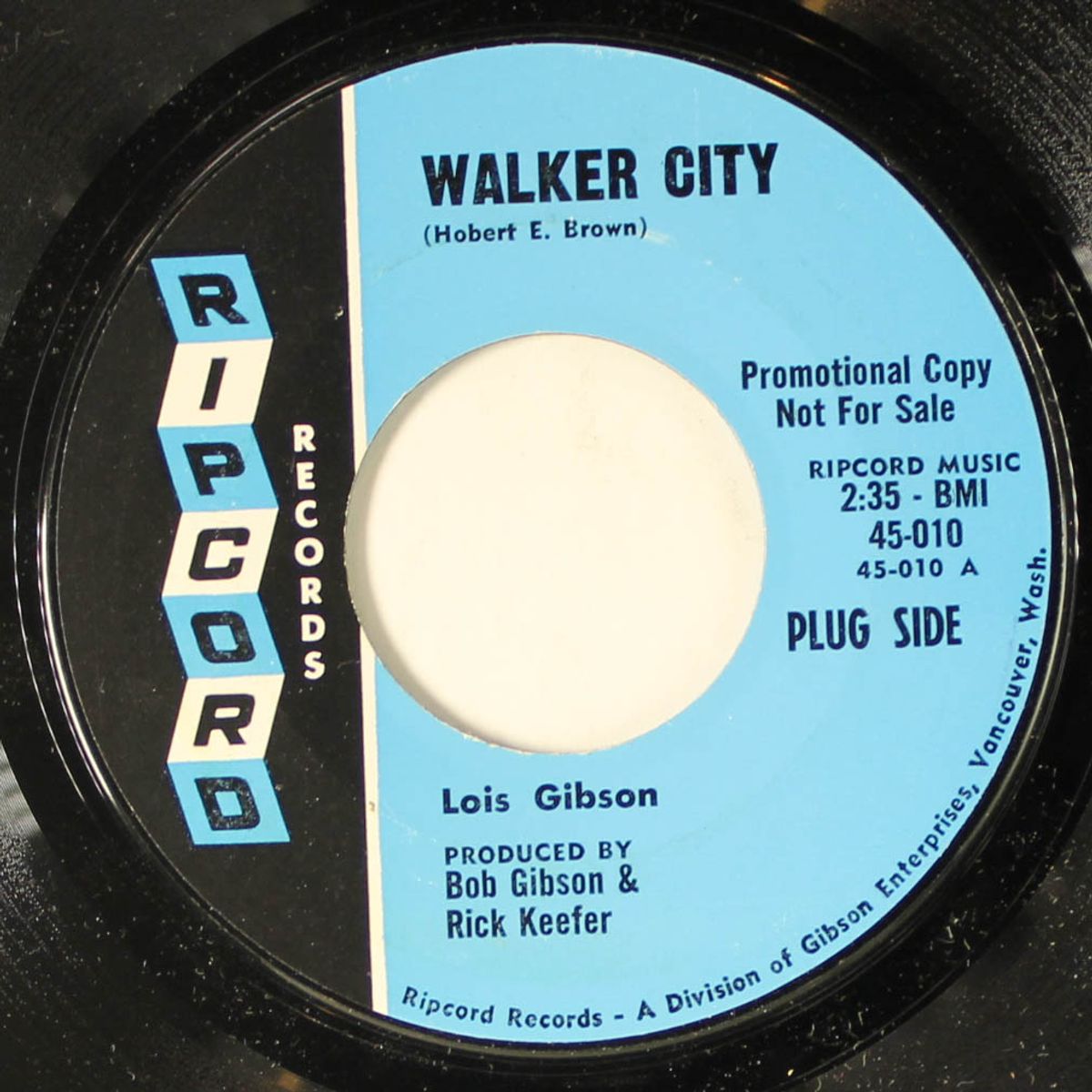 walker city by LOIS GIBSON