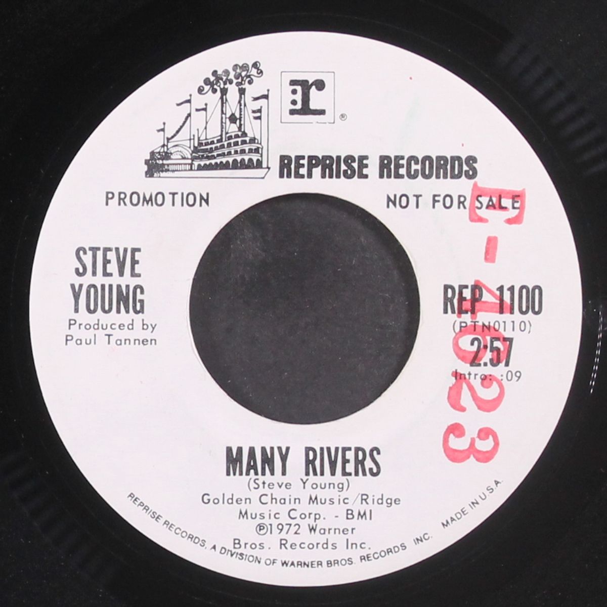 seven bridges road / many rivers by STEVE YOUNG
