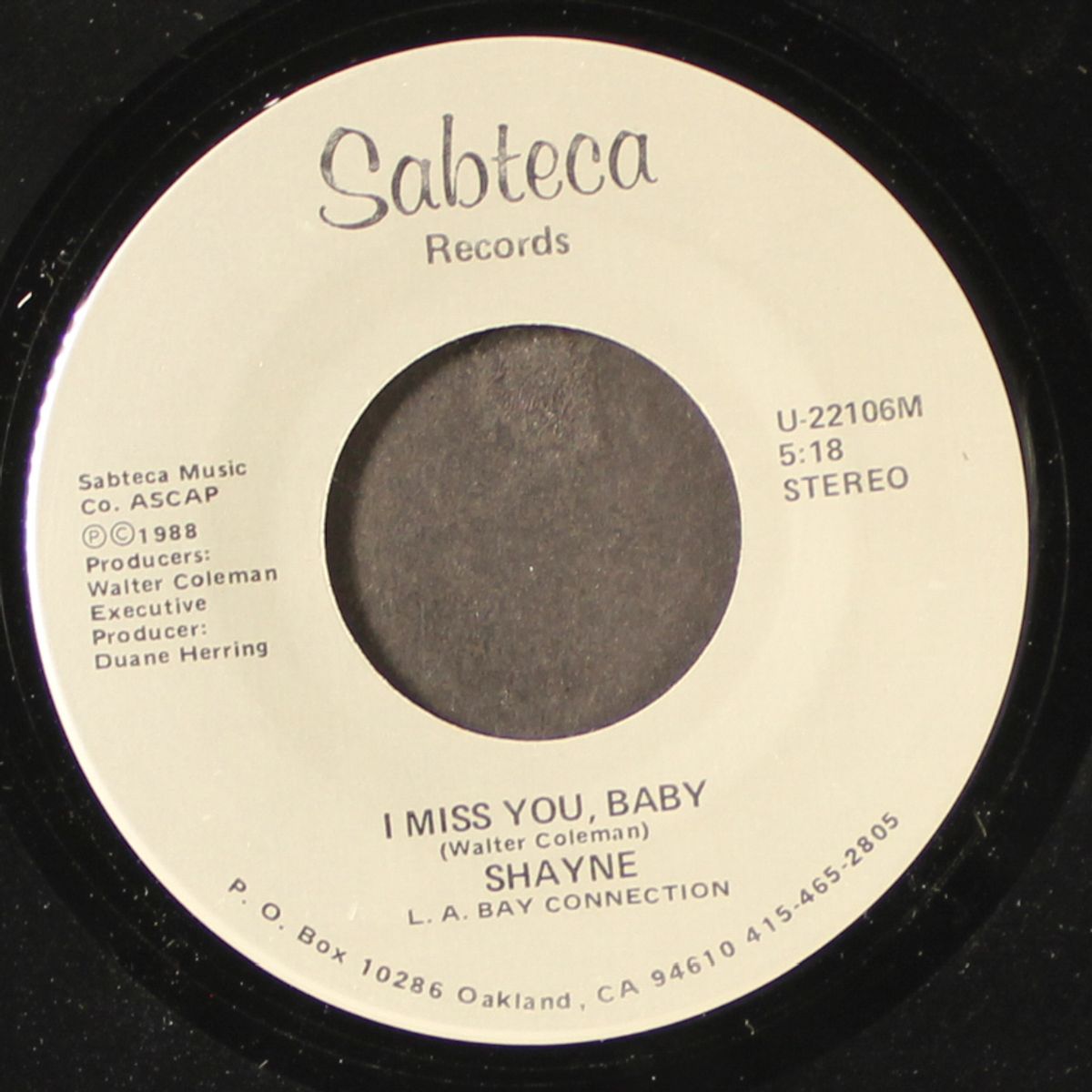 make love stay / i miss you baby by SHAYNE