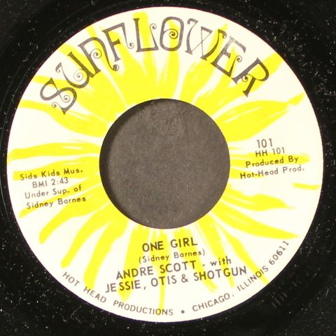 ANDRE SCOTT