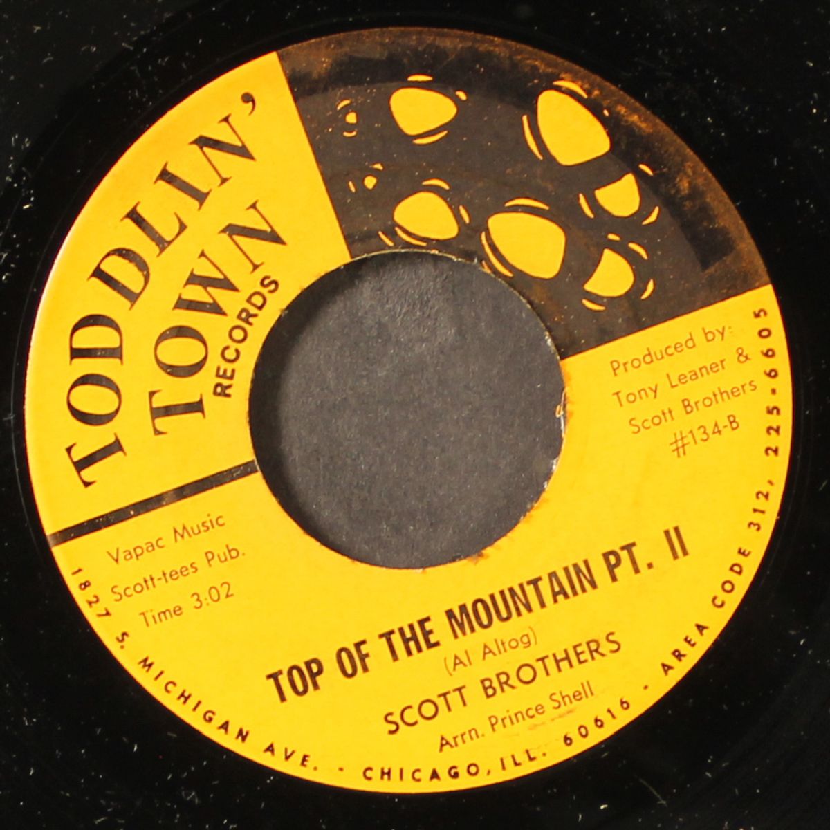 top of the mountain / part 2 by SCOTT BROTHERS