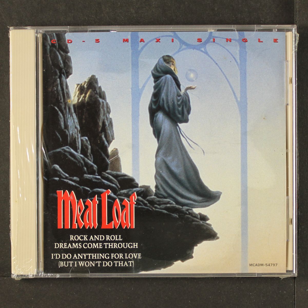 rock and roll dreams come through / i'd do anything for love (but i won't do that) by MEAT LOAF