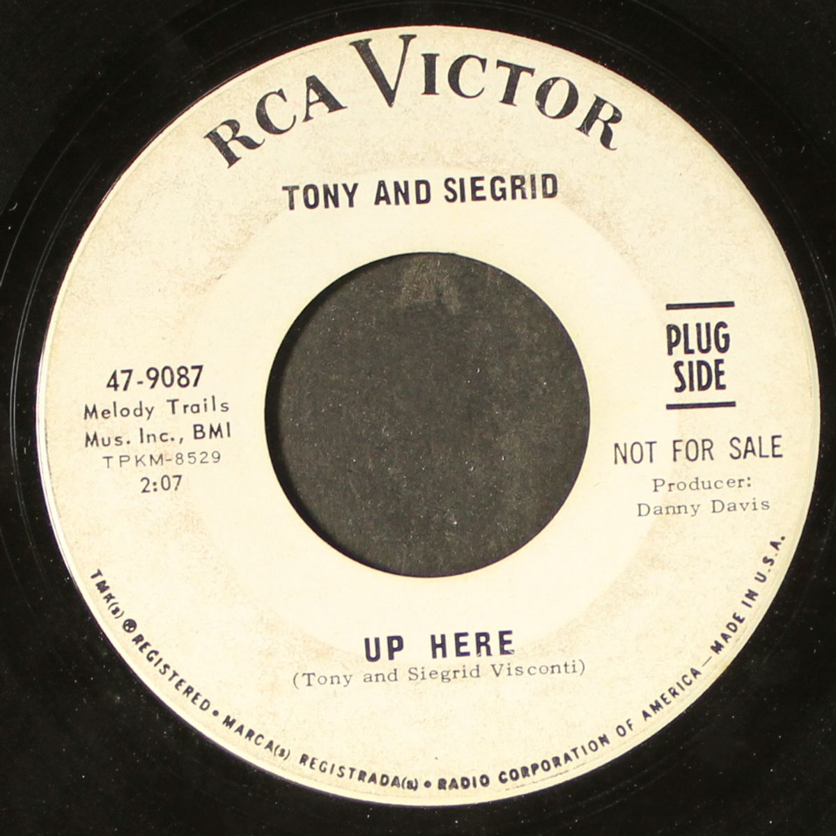 up here / you don't understand at all by TONY & SIEGRID