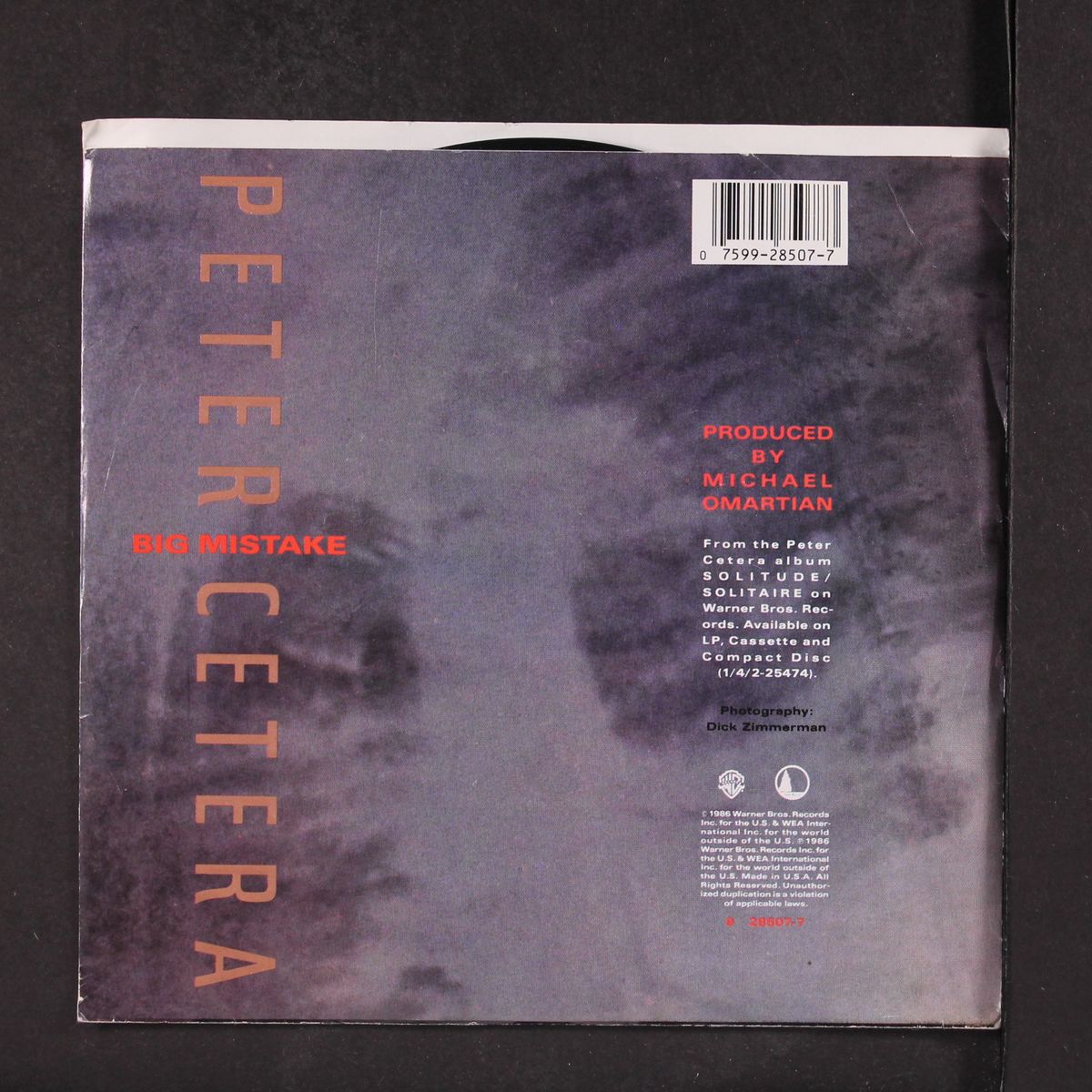 big mistake / same by PETER CETERA
