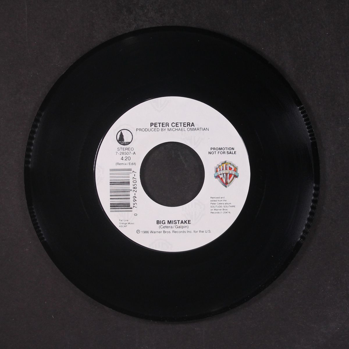 big mistake / same by PETER CETERA