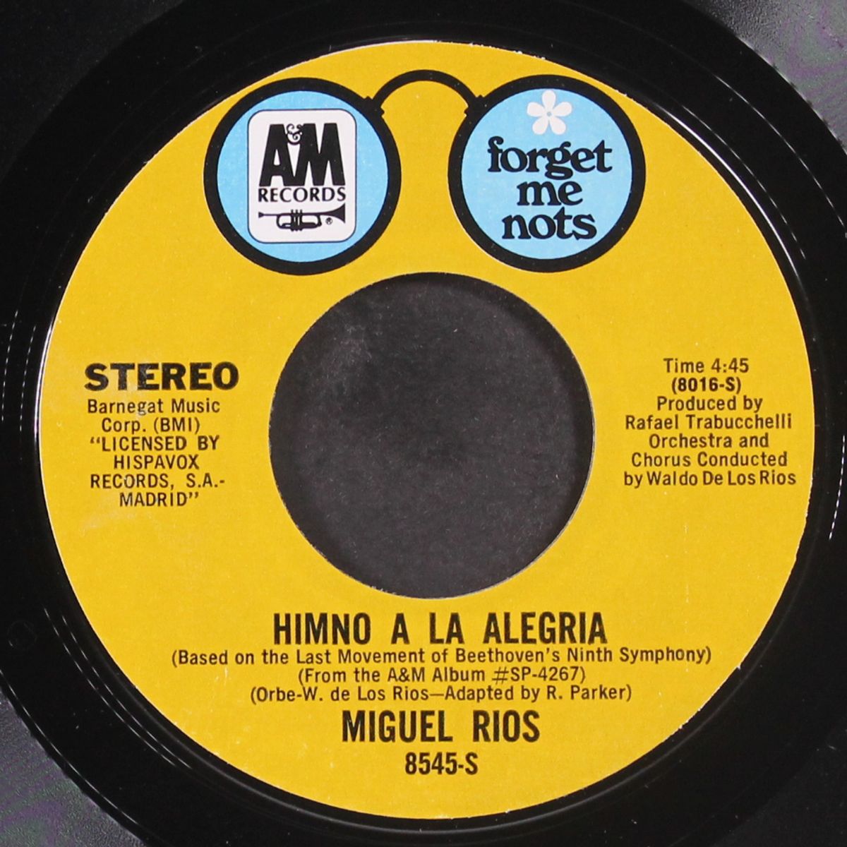 a song of joy / himno a la alegria by MIGUEL RIOS