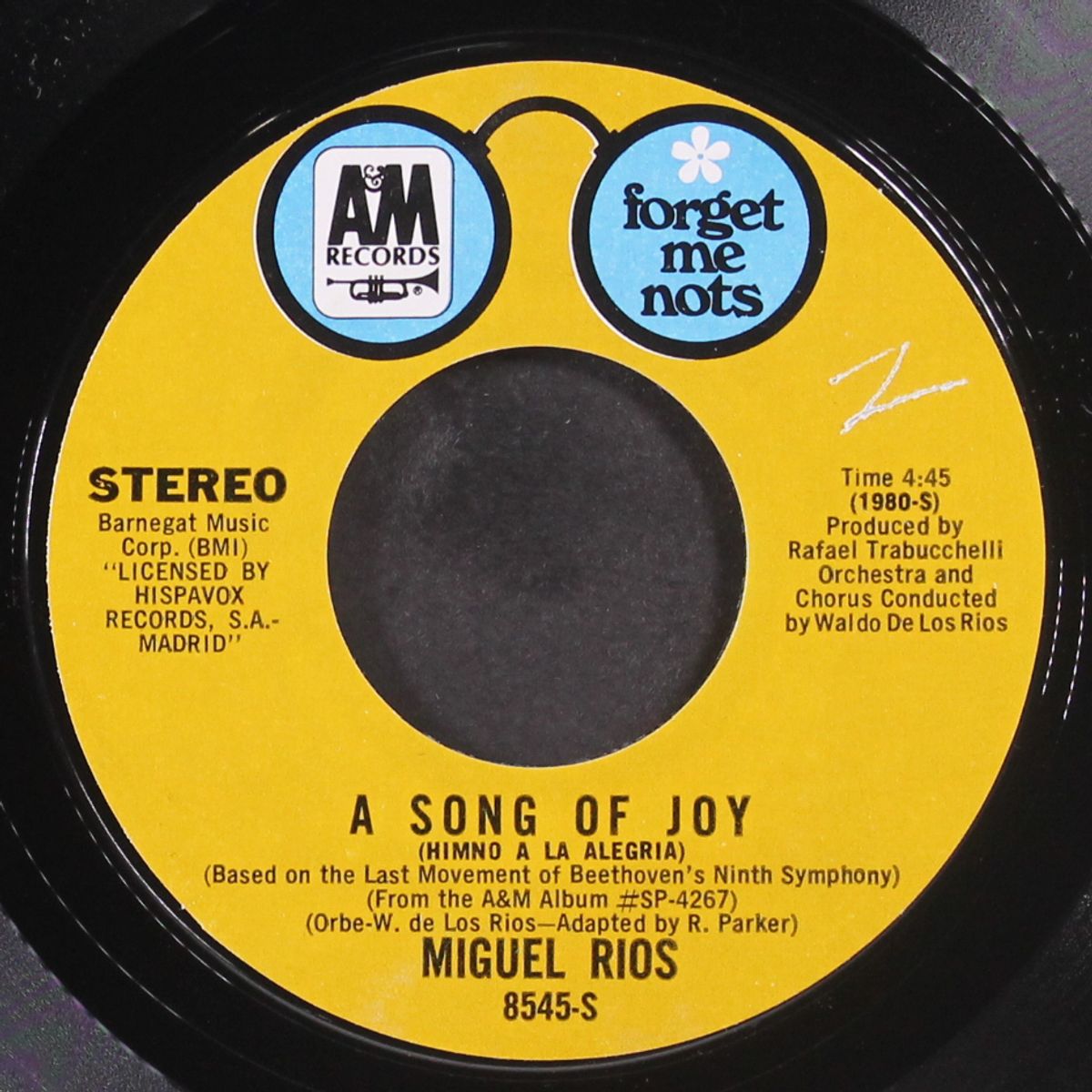 a song of joy / himno a la alegria by MIGUEL RIOS