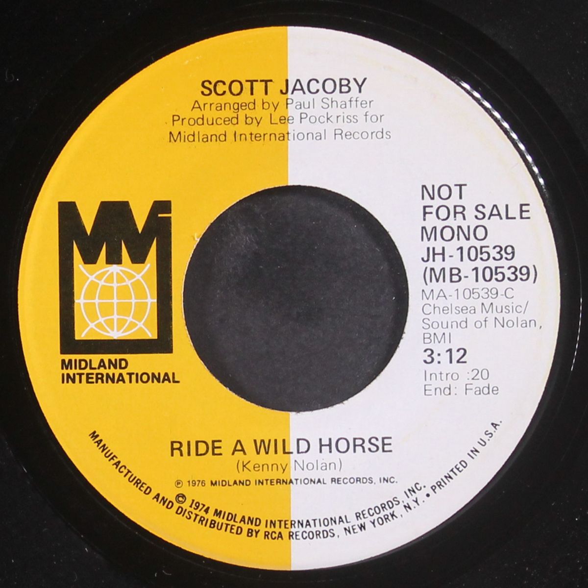 ride a wild horse / mono by SCOTT JACOBY
