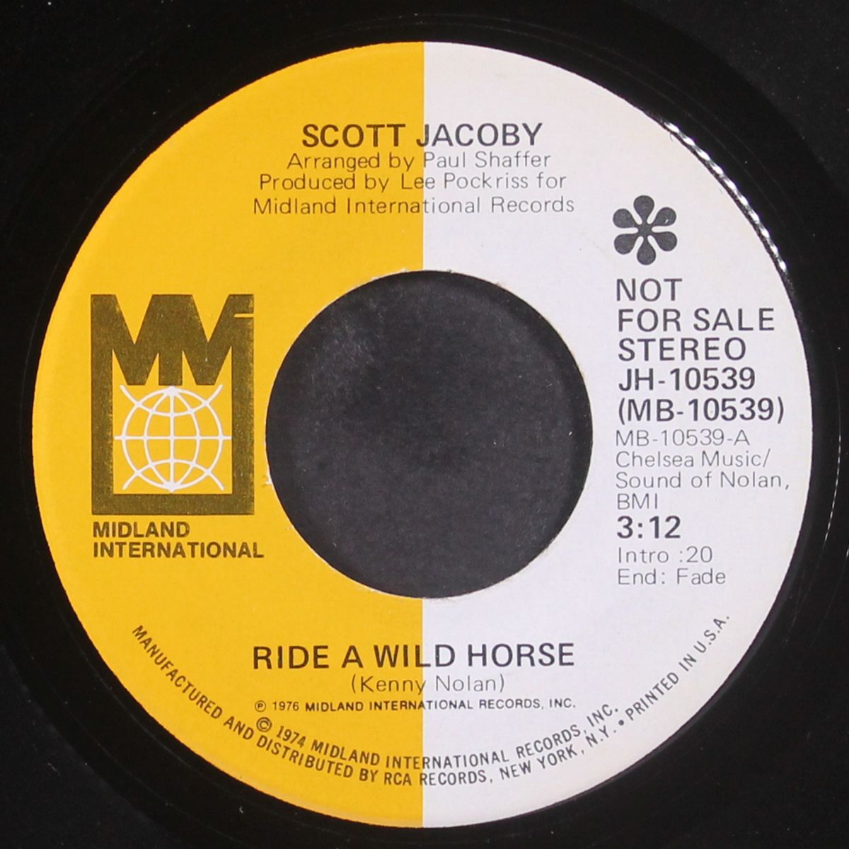 ride a wild horse / mono by SCOTT JACOBY