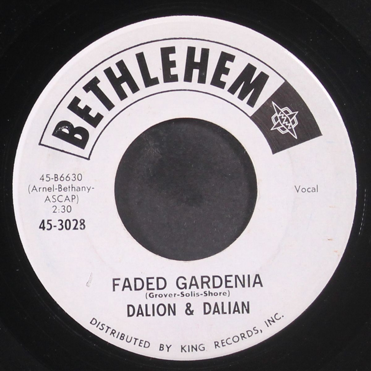 lonely girl, lonely boy / faded gardenia by DALION & DALIAN