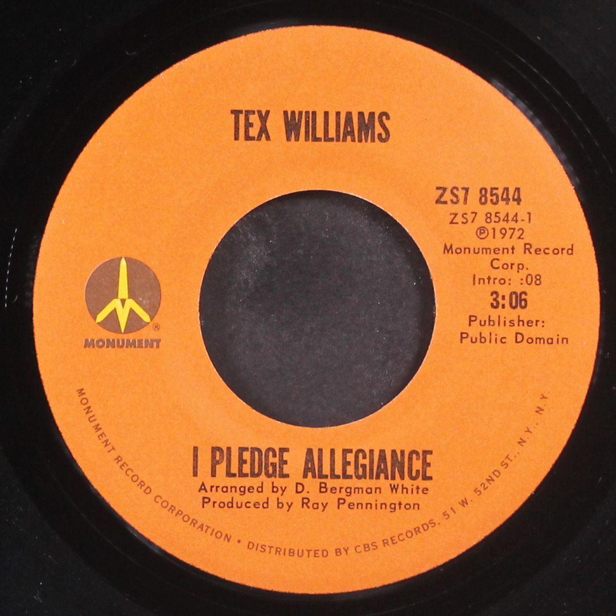 i pledge allegiance by TEX WILLIAMS