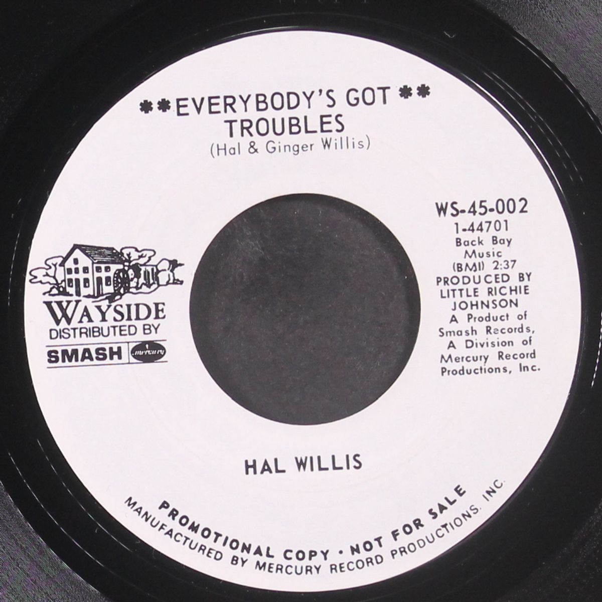 everybody's got troubles by HAL WILLIS