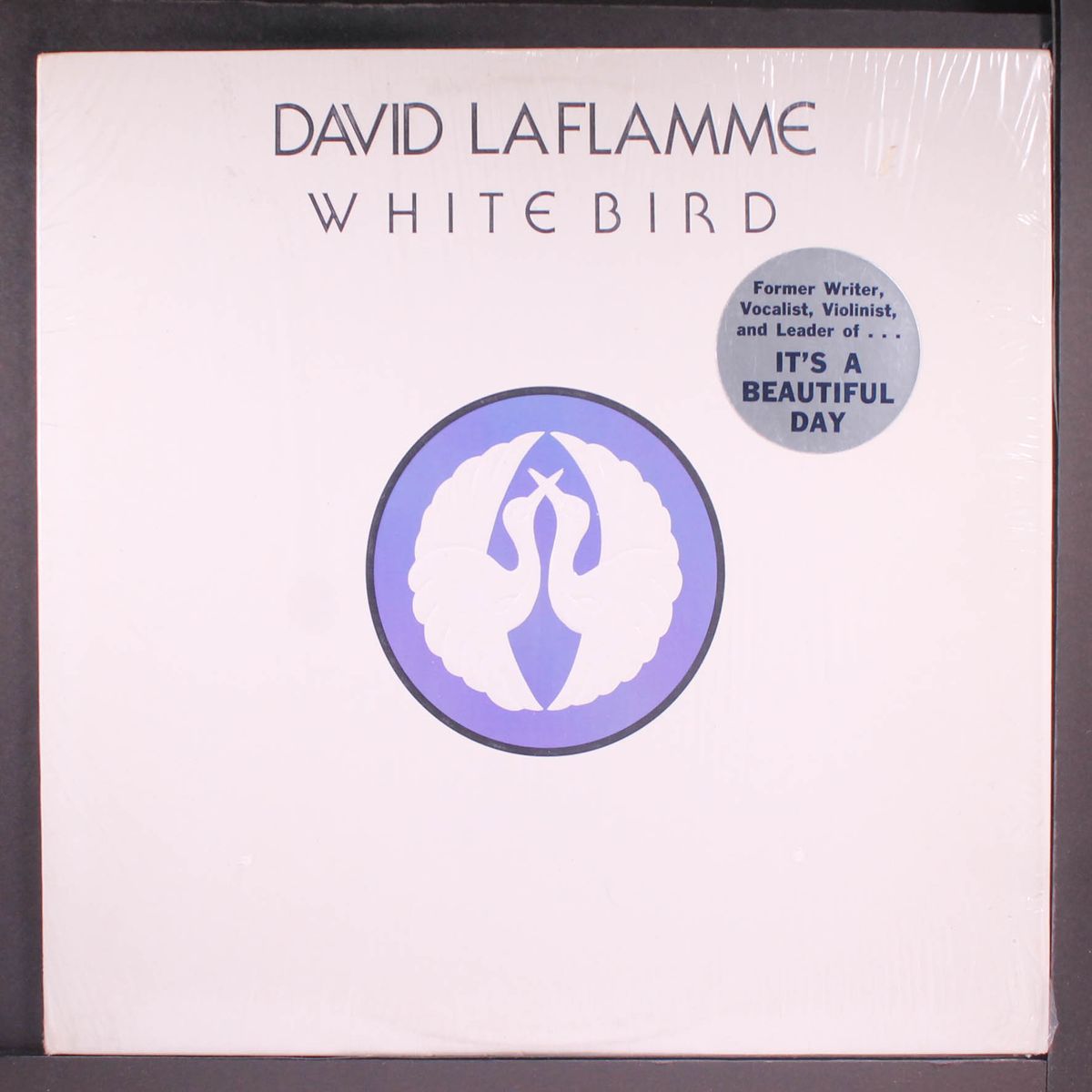 white bird by DAVID LAFLAMME