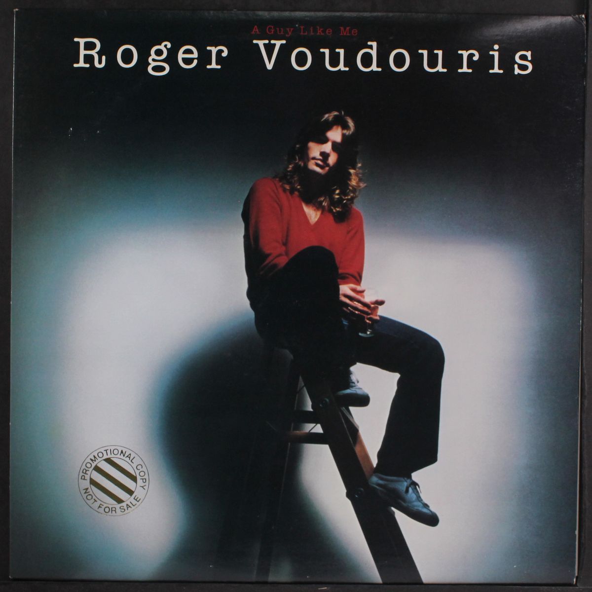 a guy like me by ROGER VOUDOURIS