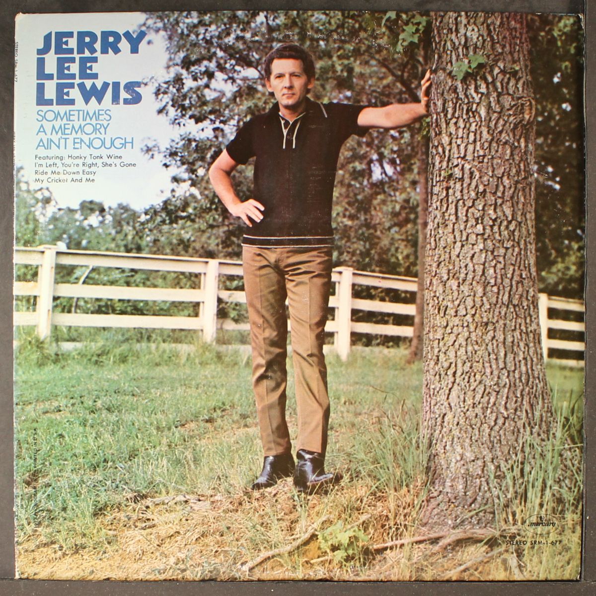 sometimes a memory ain't enough by JERRY LEE LEWIS