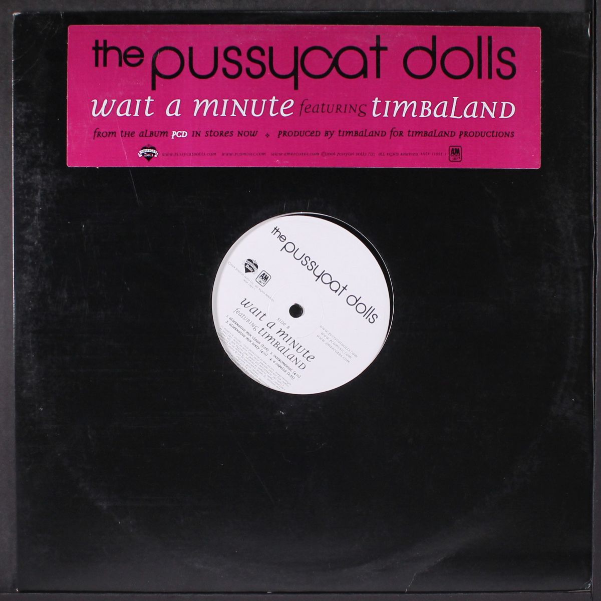 wait a minute by PUSSYCAT DOLLS