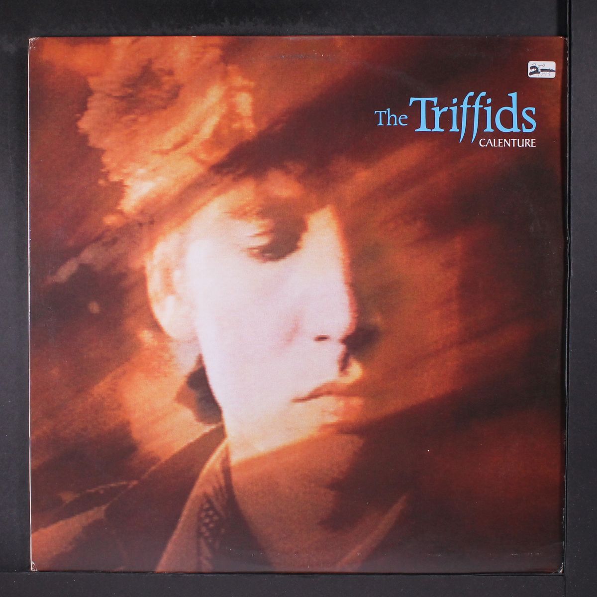 calenture by TRIFFIDS