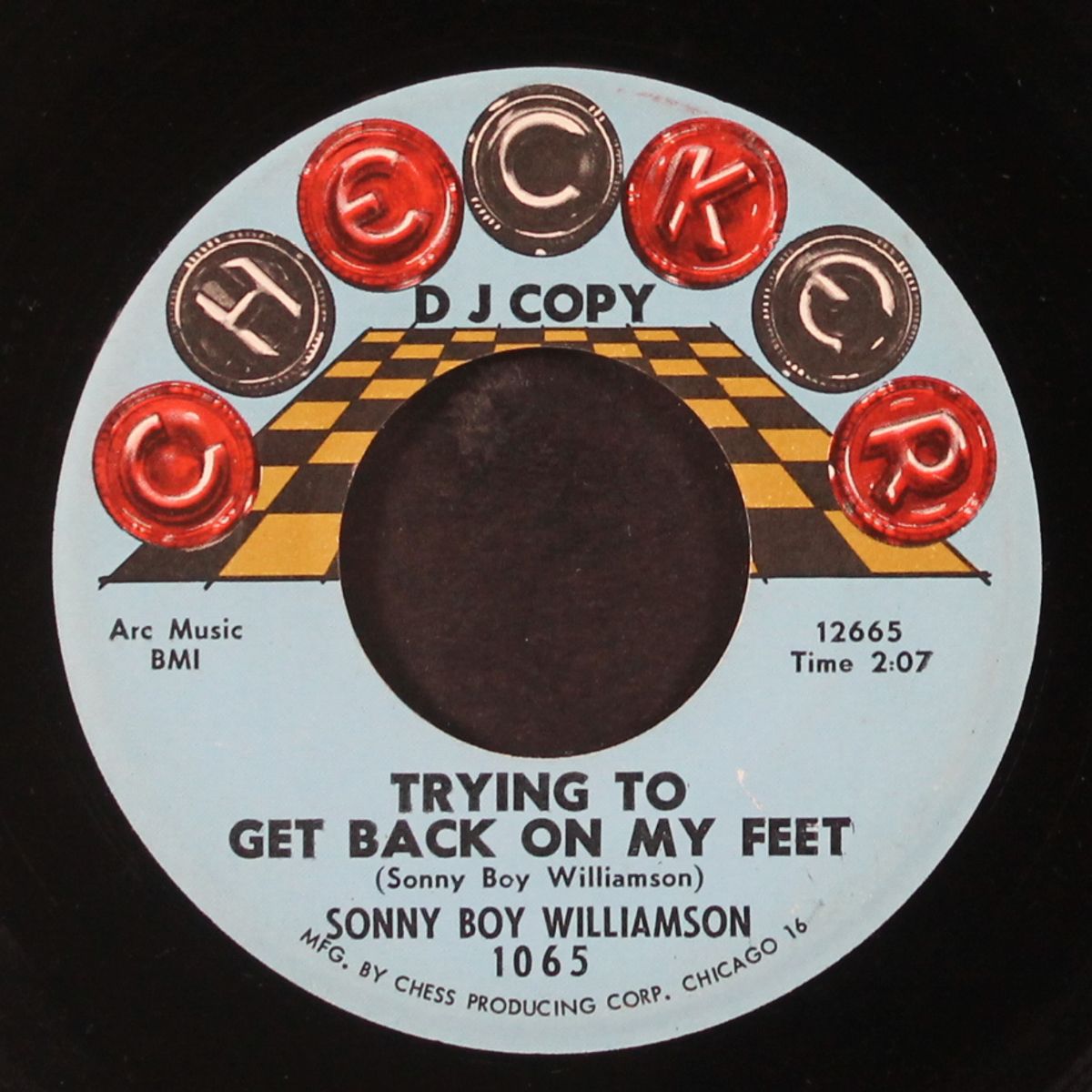 trying to get back on my feet by SONNY BOY WILLIAMSON