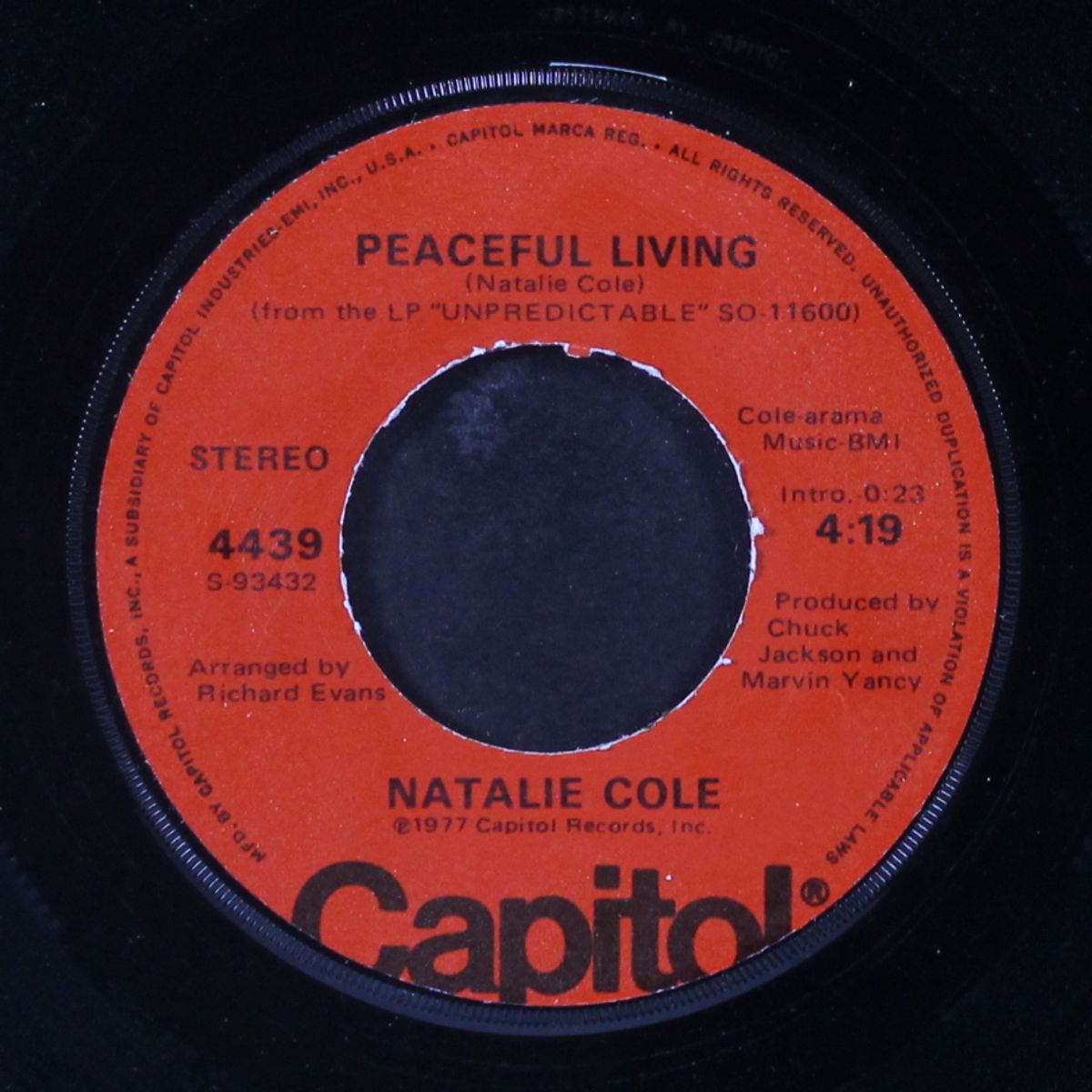party lights / peaceful living by NATALIE COLE