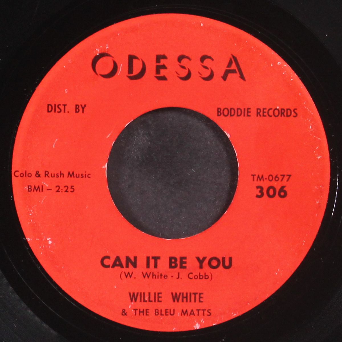 everybody dance / can it be you by WILLIE WHITE & THE BLEU MATTS