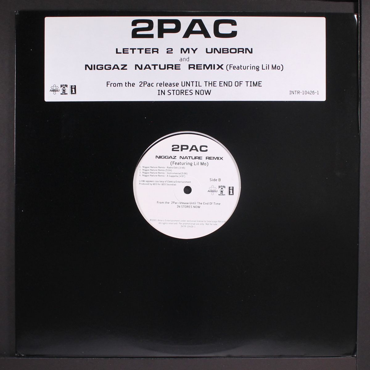 letter 2 my unborn / niggaz nature remix ( feat. lil' mo') by 2PAC