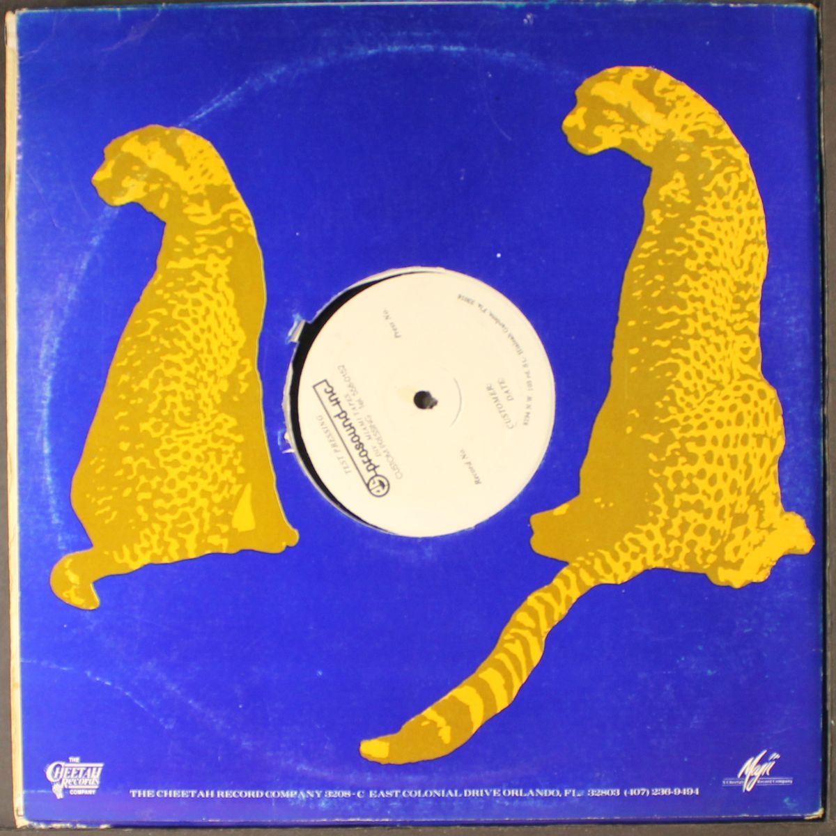 you want bass by DJ MAGIC MIKE & MC MADNESS