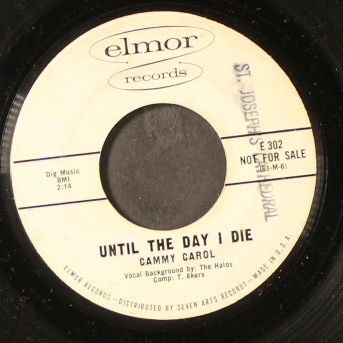 until the day i die by CAMMY CAROL & HALOS